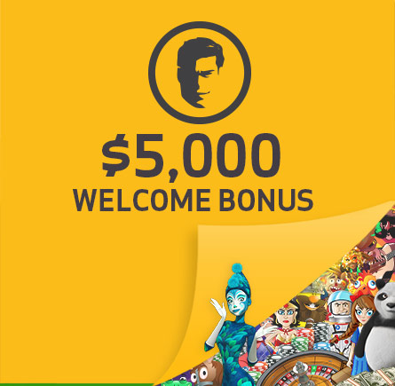 Online Casino Bonuses