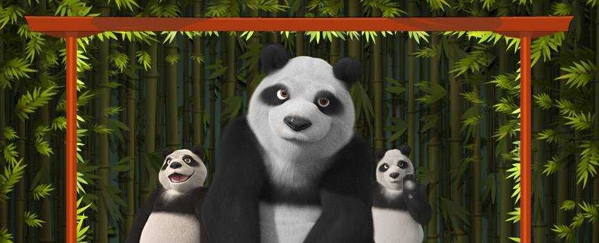 Panda Party online casino game