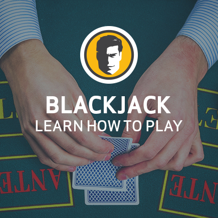 The Ultimate Guide to Learning Blackjack.