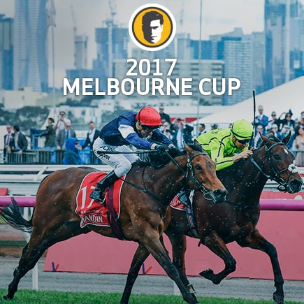 learn more about the Melbourne Cup Form Guide at Joe Fortune Casino